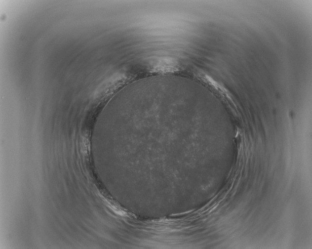 X0000061150517200511211005