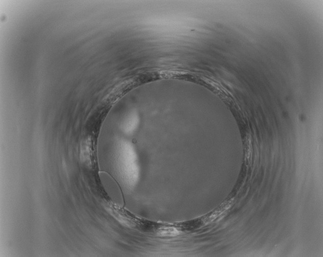 X0000061150519200511211005