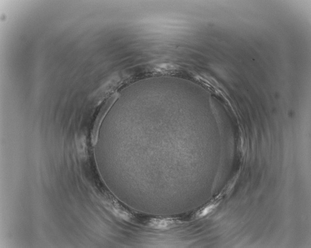 X0000061150520200511211005