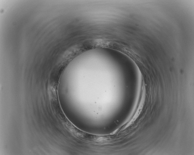 X0000061150522200511211005