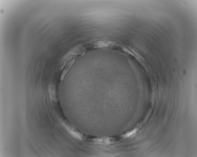 X0000061150524200511211005