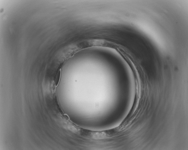 X0000061150525200511211005