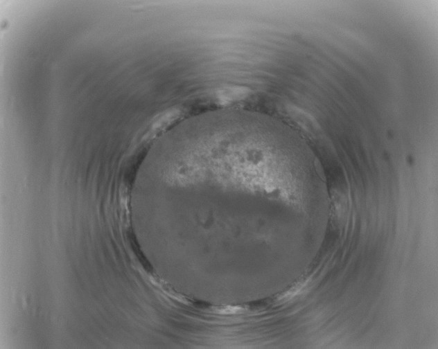 X0000061150527200511211005