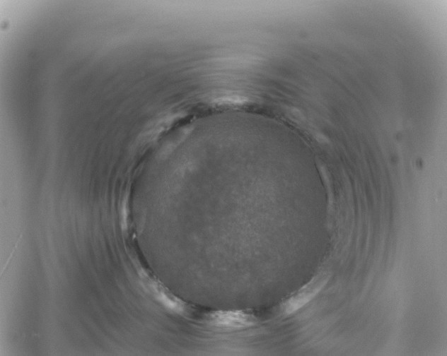 X0000061150528200511211005