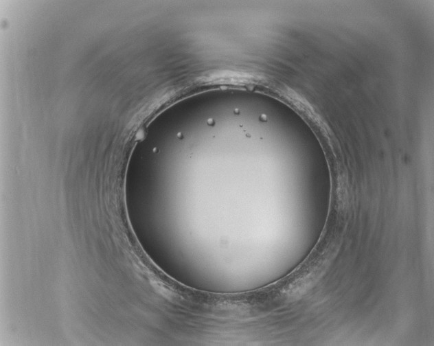 X0000061150529200511211004