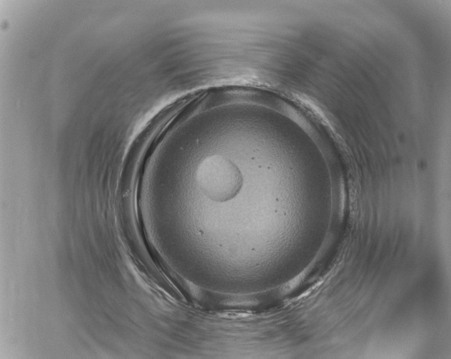 X0000061150532200511211004