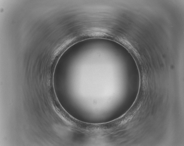 X0000061150533200511211004