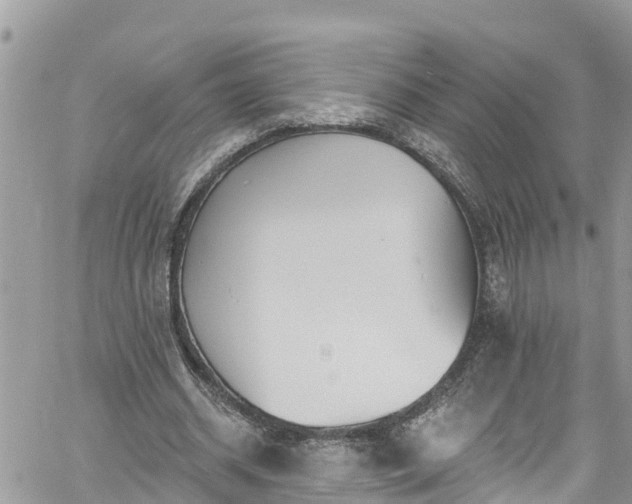 X0000061150534200511211004