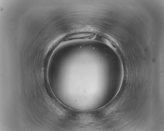 X0000061150535200511211004