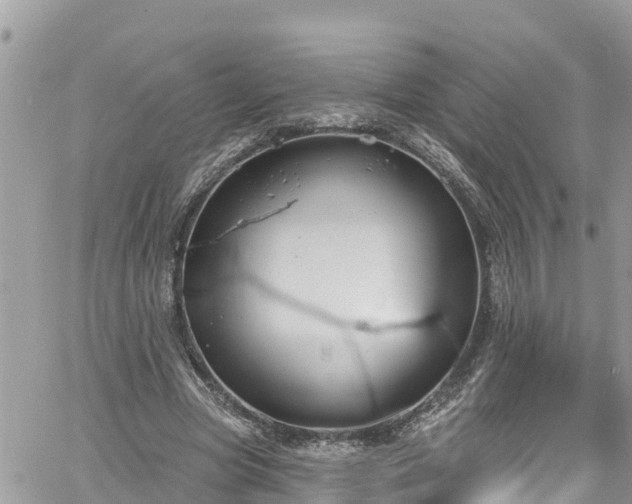 X0000061150537200511211004