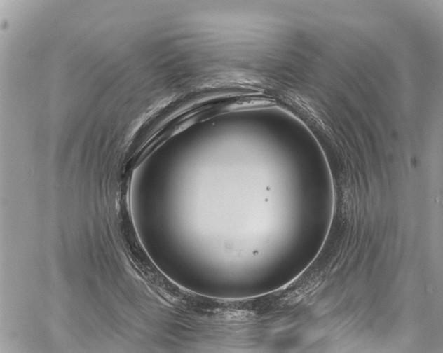 X0000061150539200511211004