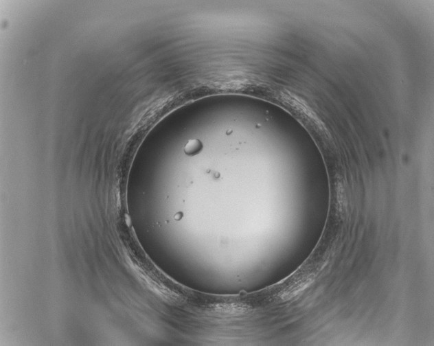 X0000061150541200511211004