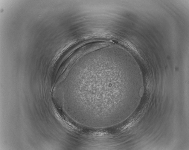 X0000061150542200511211004