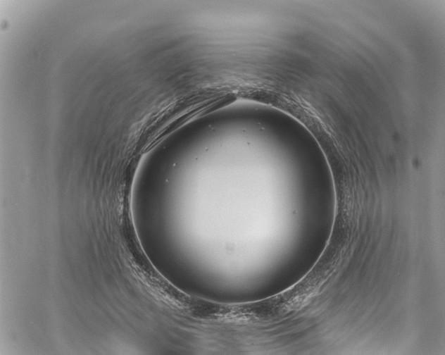 X0000061150545200511211004