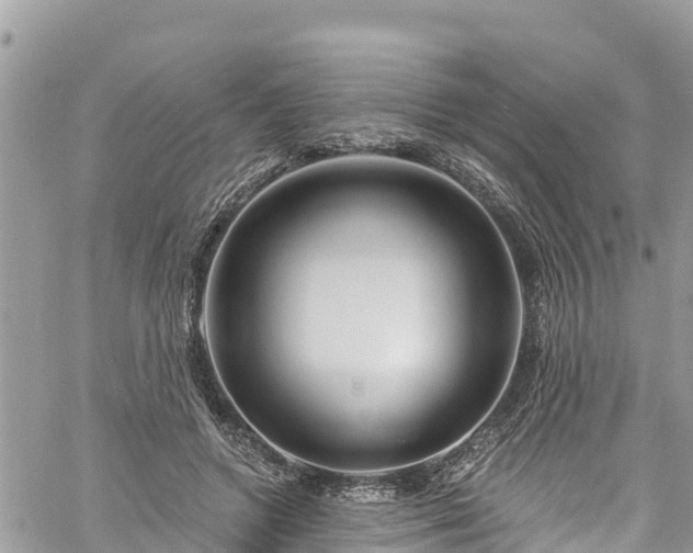 X0000061150546200511211004