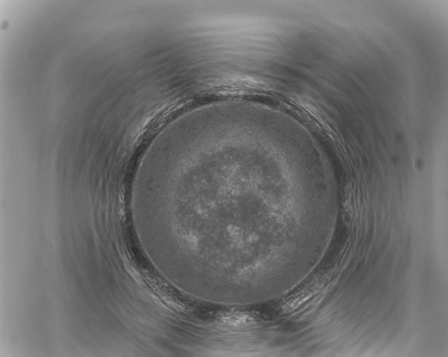 X0000061150547200511211004