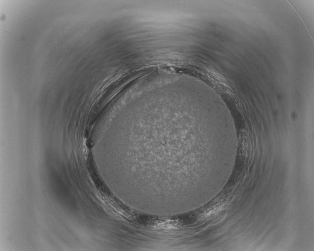 X0000061150550200511211004