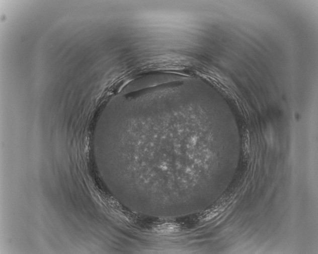 X0000061150551200511211004