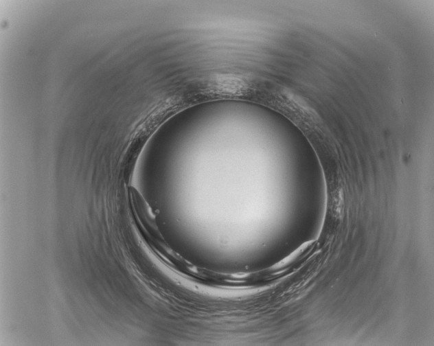 X0000061150552200511211004