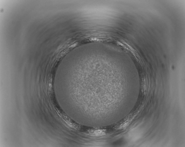 X0000061150553200511211004