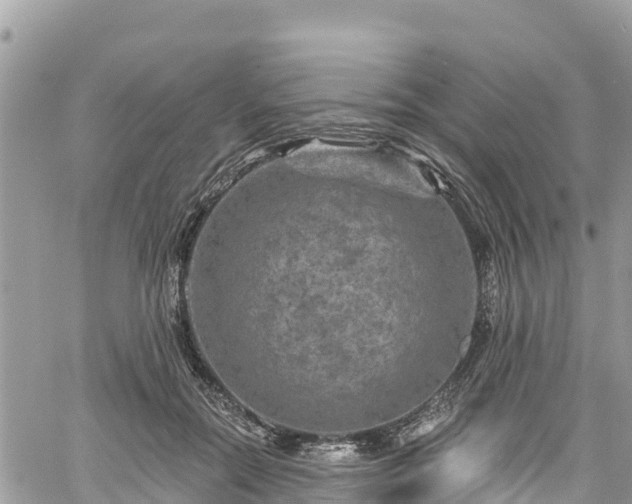 X0000061150554200511211004