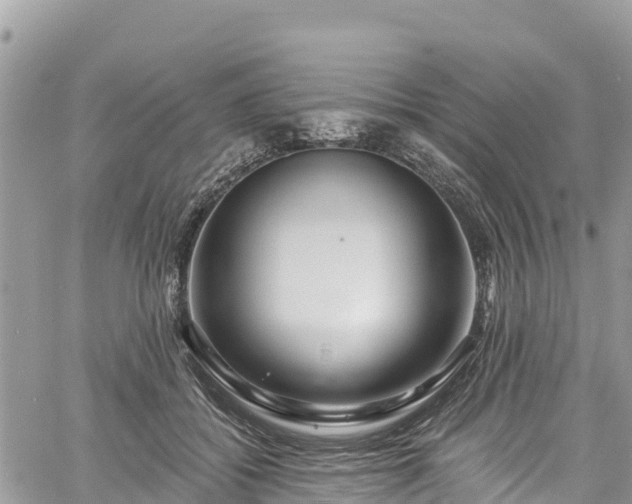 X0000061150556200511211004