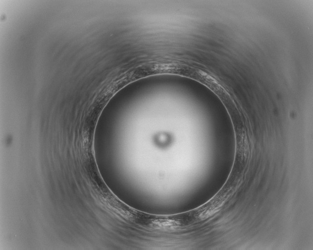 X0000061150557200511211004