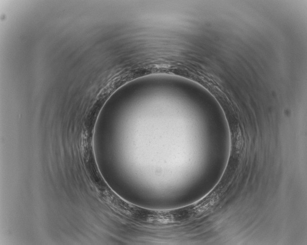 X0000061150559200511211004