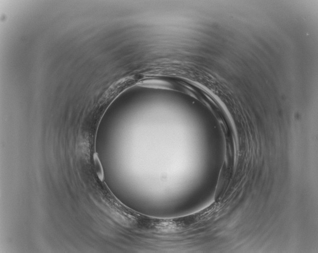 X0000061150562200511211004