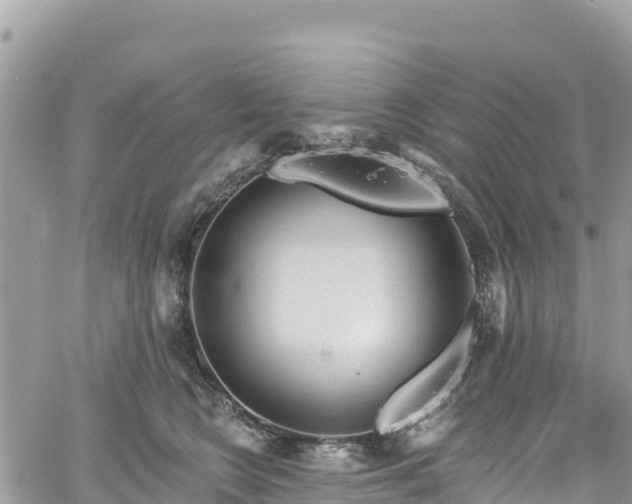 X0000061150566200511211004