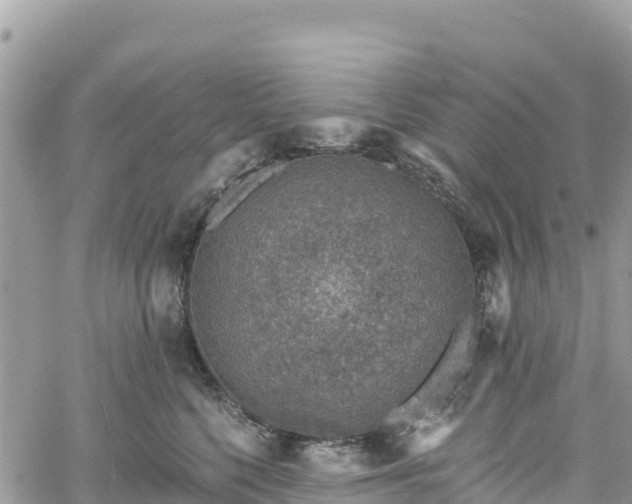 X0000061150568200511211004