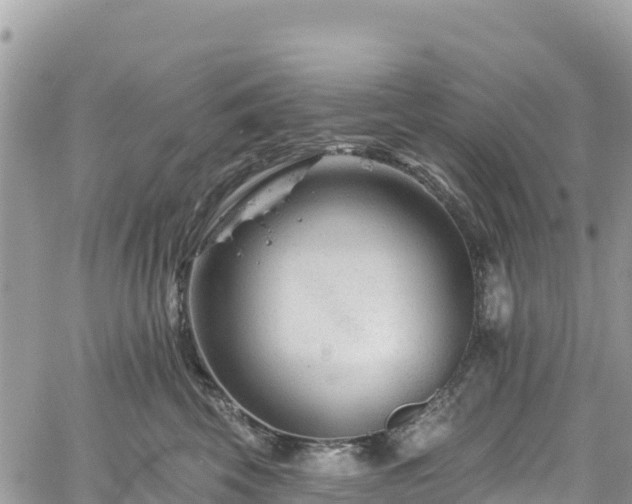 X0000061150569200511211004