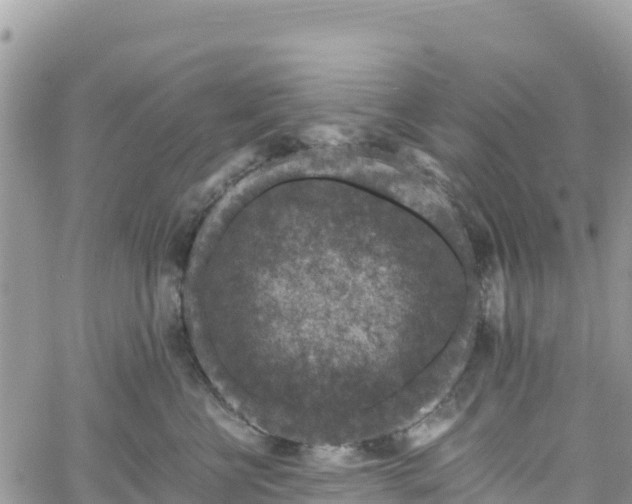 X0000061150570200511211004