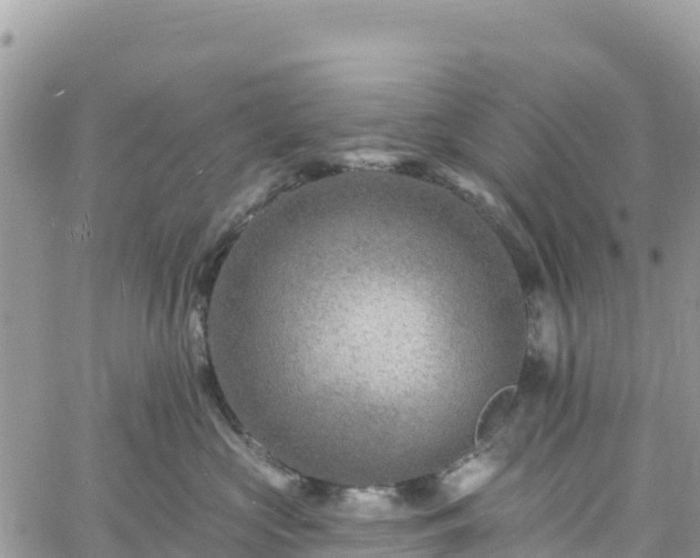 X0000061150573200511211004