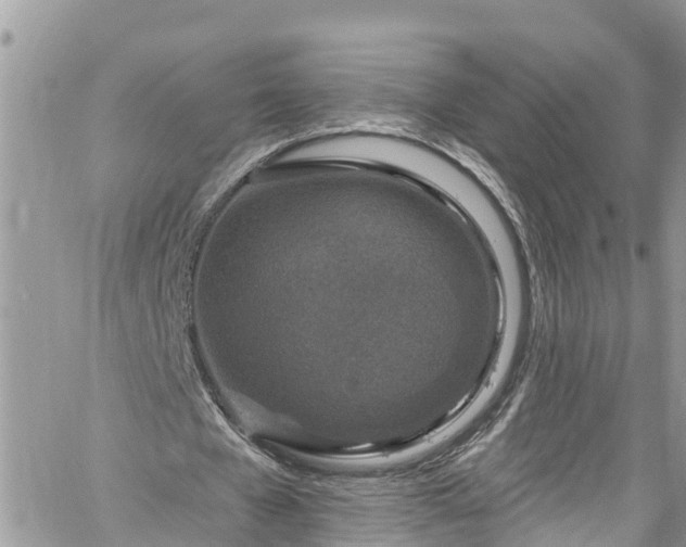 X0000061150577200511211004