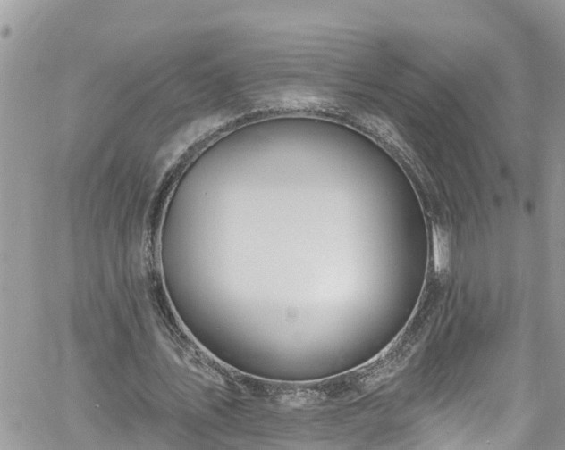 X0000061150579200511211004