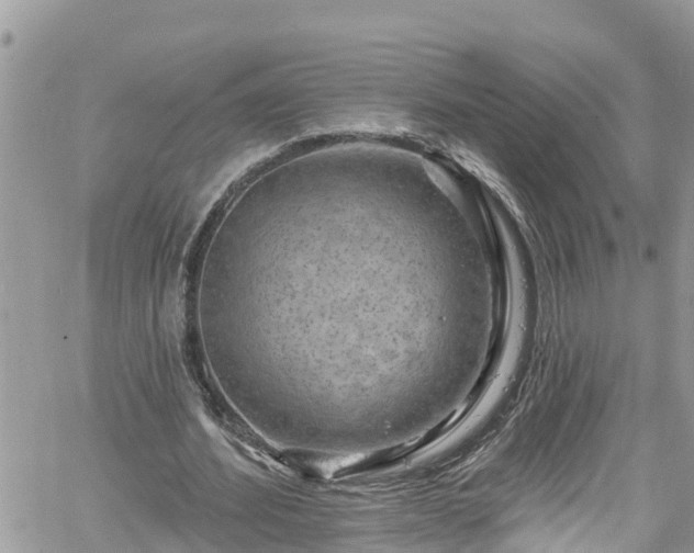 X0000061150580200511211004