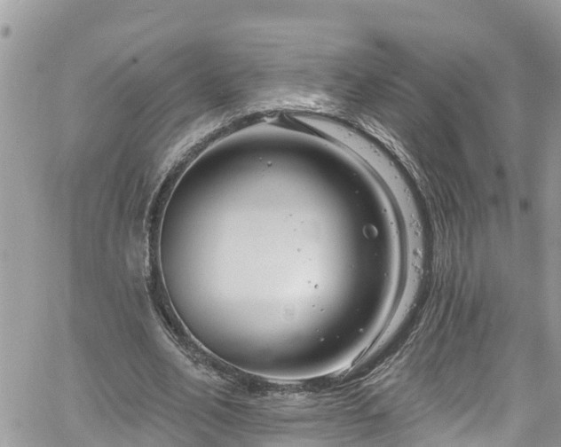 X0000061150582200511211004