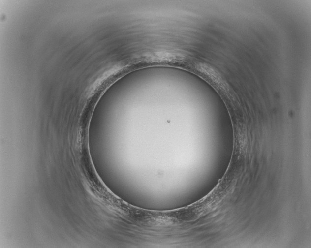 X0000061150583200511211004