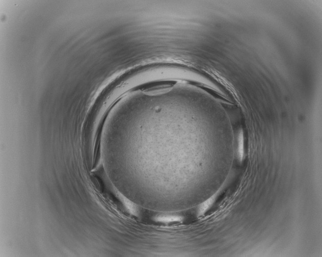 X0000061150584200511211004