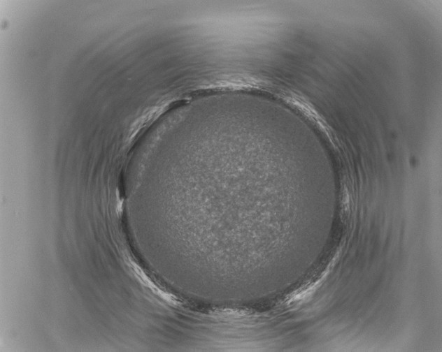 X0000061150585200511211004