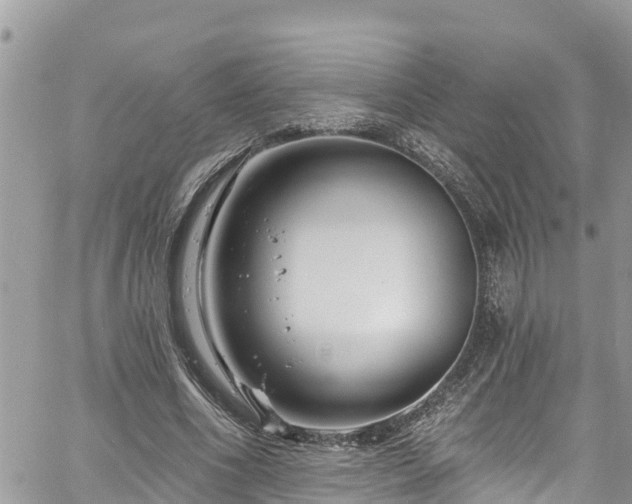 X0000061150586200511211004