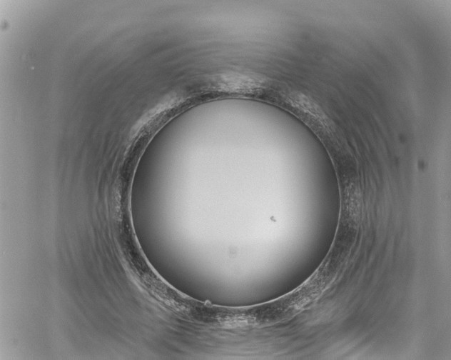 X0000061150587200511211004