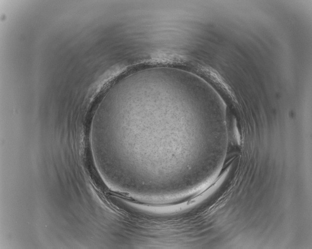 X0000061150588200511211004