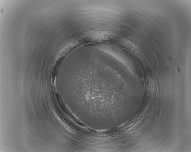 X0000061150590200511211004