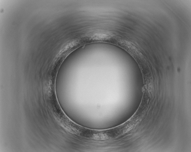 X0000061150591200511211003