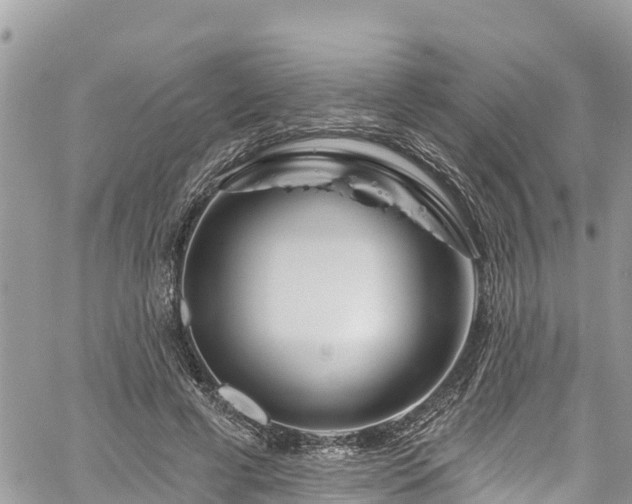 X0000061150593200511211003