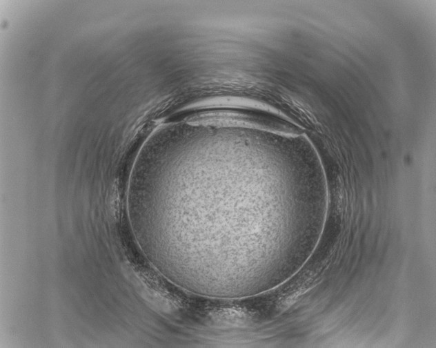 X0000061150594200511211003