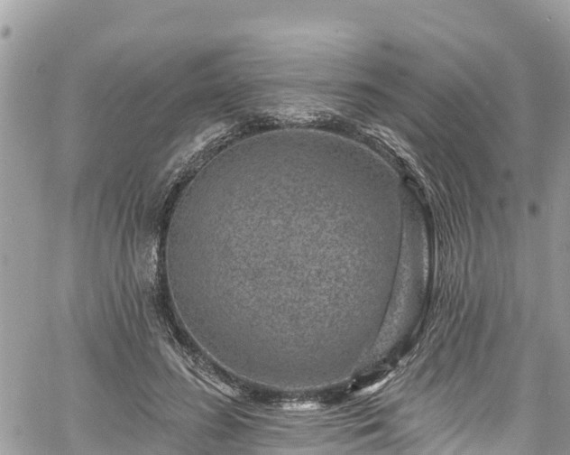 X0000061150596200511211003