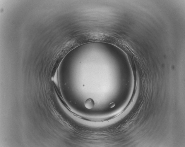 X0000061150597200511211003